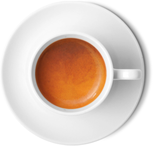 CAFFE GELATO MIX 12 x 1 LTR - READY TO USE